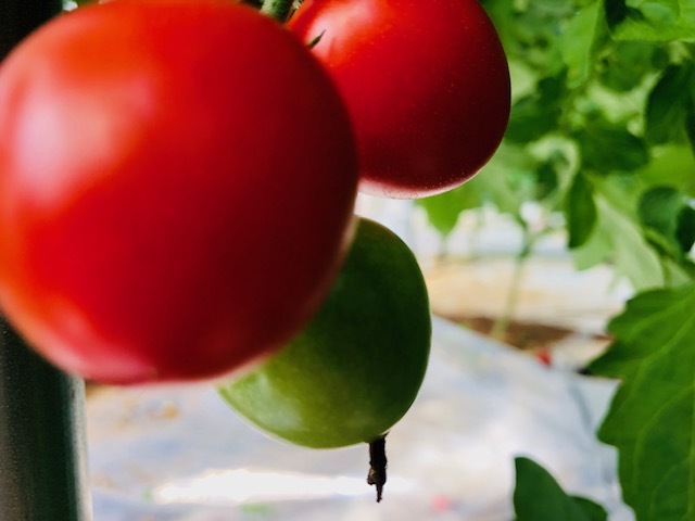 お客様の声②-3