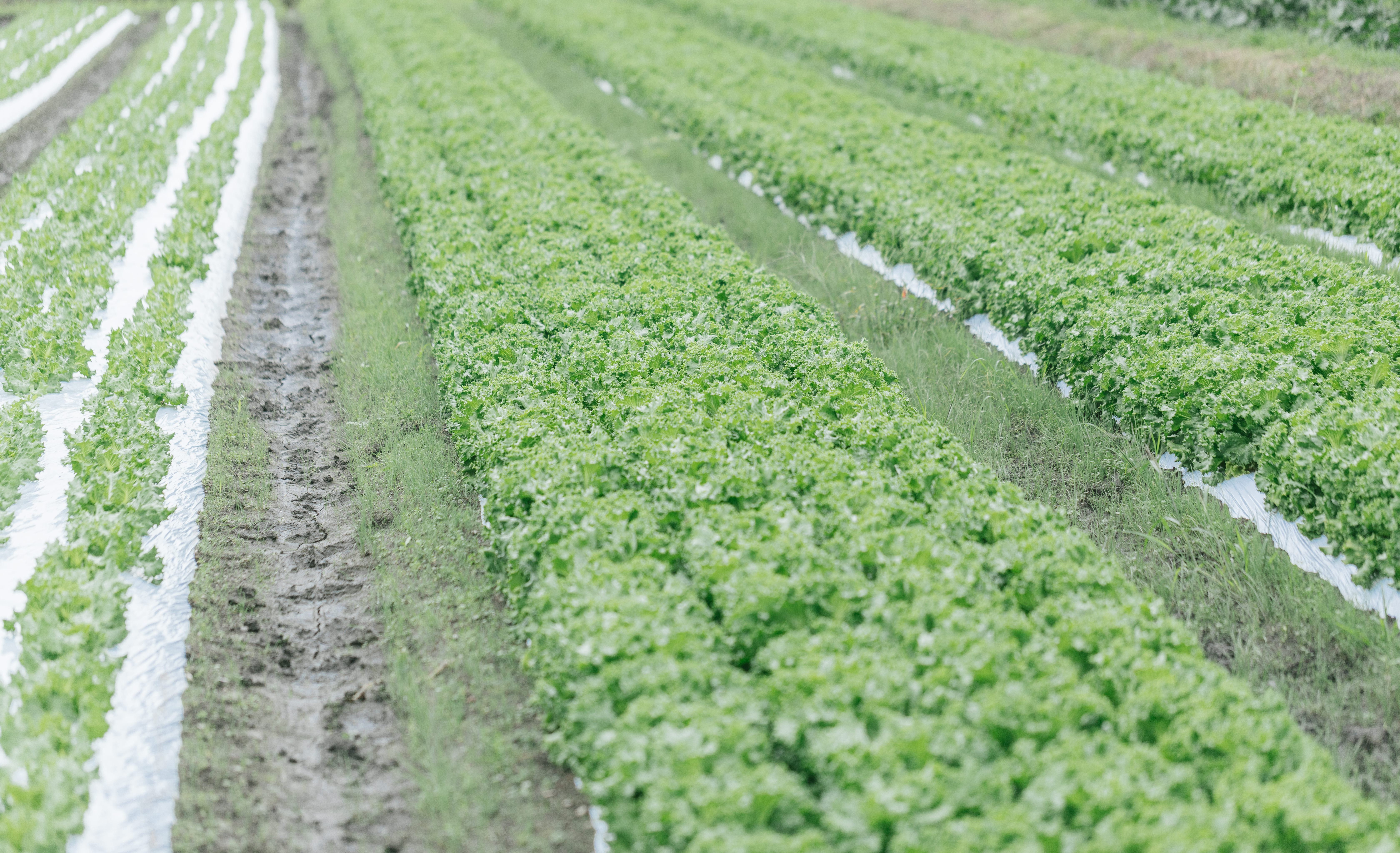 相談をお待ちしていますー2